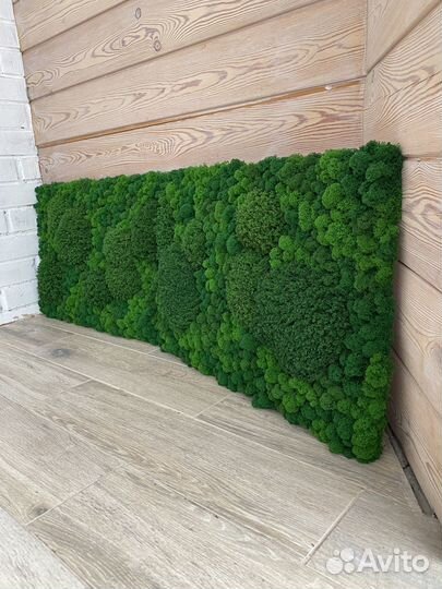 Панели из стабилизированного мха