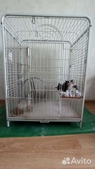 Клетка для хорька, шиншиллы, дегу