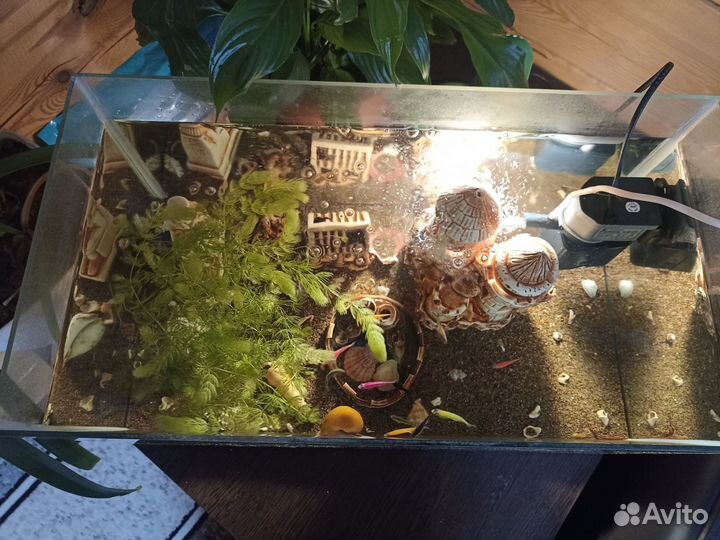 Аквариум