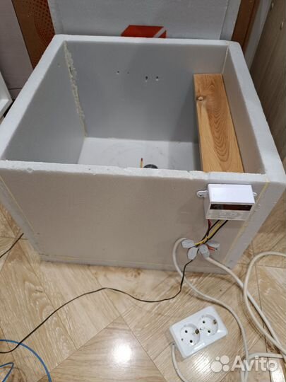 Инкубатор для яиц рептилий