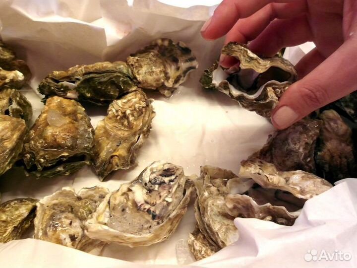 Экскурсия — Рим — Кулинарная прогулка для самых см