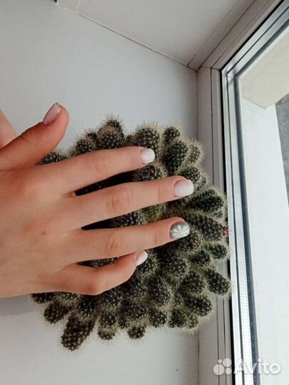 Дизайн ногтей