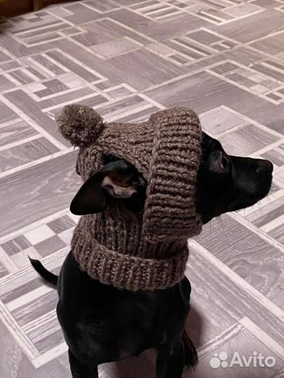 Шапка для собаки