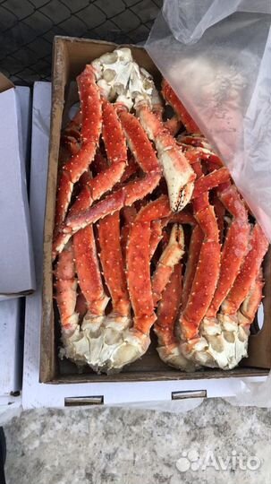 Креветки, Лангустины, Краб, Гребешок, Мидии