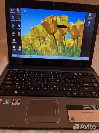 Acer