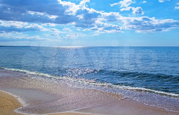 1-к. квартира, 51,1 м², 6/8 эт.