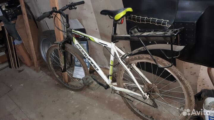 Forward Sporting 1.0