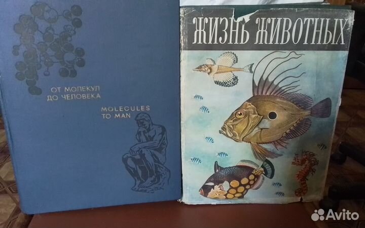 Развивающие книги для детей СССР