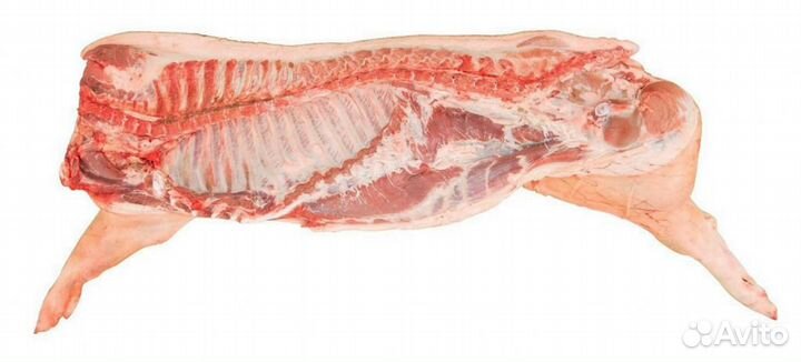 Мясо свинина оптом