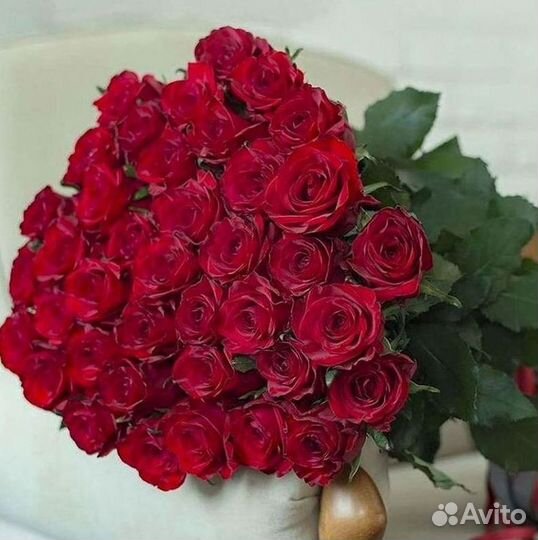 101 роза цветы букеты доставка 25 51 101 роза