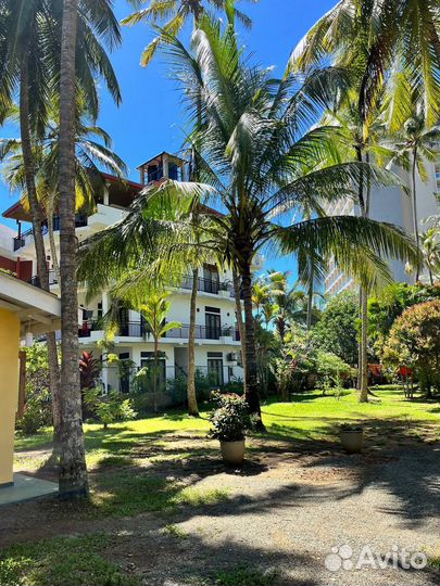 Шри-Ланка из Москвы