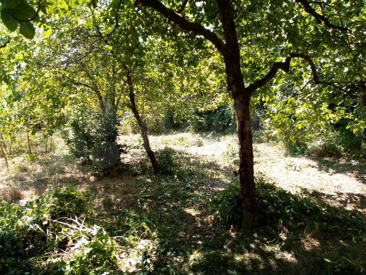 Участок 5 сот. (ИЖС)