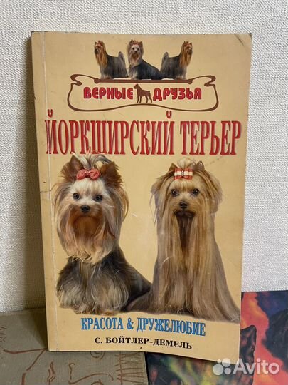 Йоркширский терьер. Бойтлер-Демель С