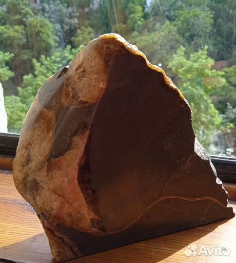 Аммонит плюс симбирцит