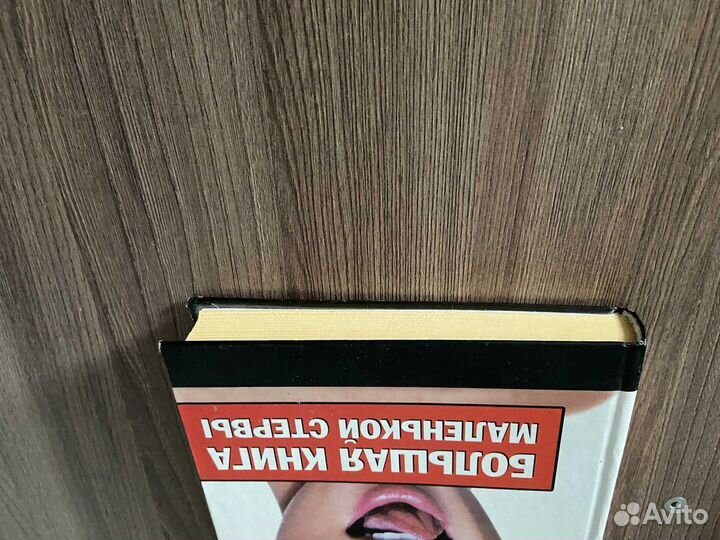 З.Воскресенская. Большая книга маленькой стервы