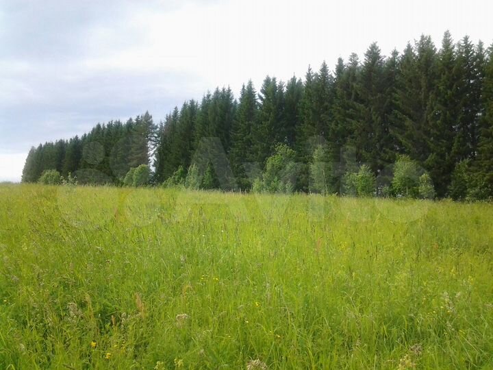 Участок 6,8 га (СНТ, ДНП)