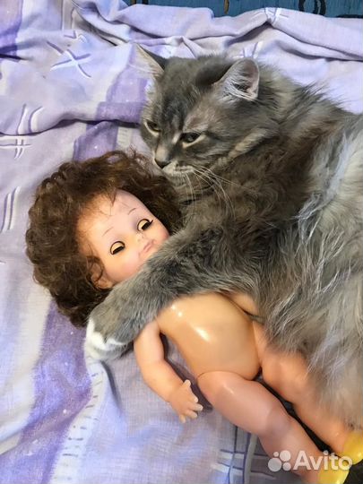 Кукла СССР ГДР