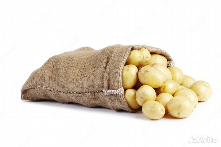 Продам картофель