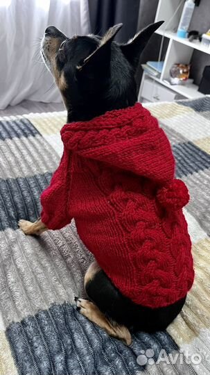 Одежда для собак