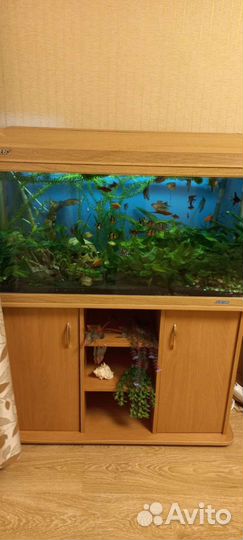 Аквариум
