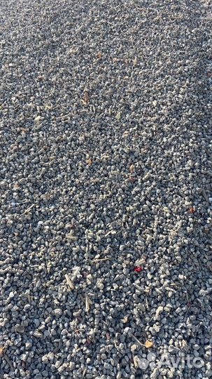 Аренда самосвала 20 кубов доставка песок щебьн