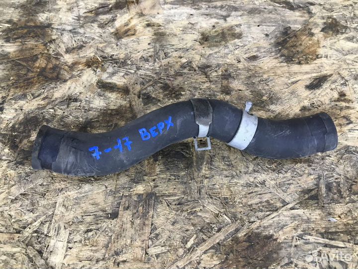 Патрубок радиатора honda insight ZE2 U 2009 Верх