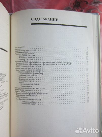 Ч. Мержендал. Куст ежевики. 1993 год