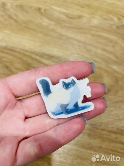 Пластиковая брошь. Значок 