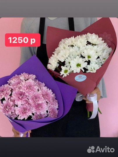 Хризантема букет на 1 сентября