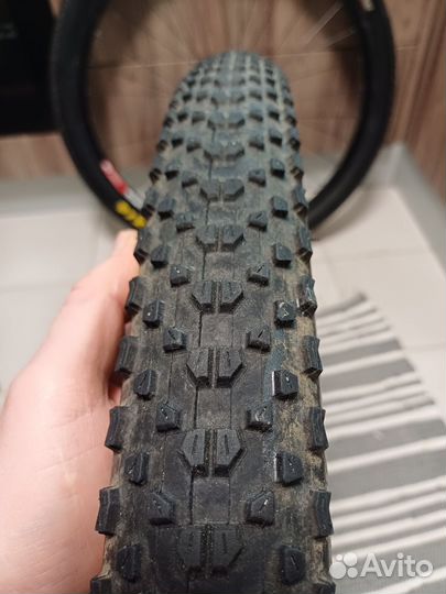 Комплект колес 29'. Shimano-Dt swiss-Maxxis