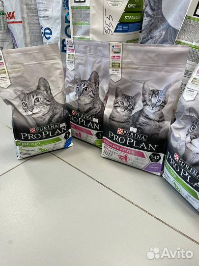 Сухой корм для собак