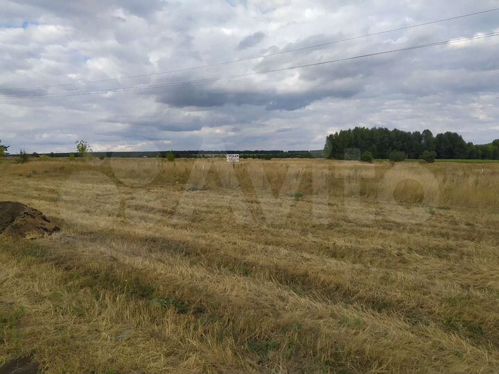 Участок 48 сот. (СНТ, ДНП)