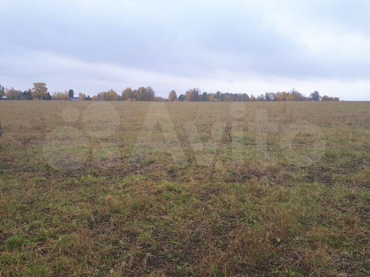 Участок 7,36 га (СНТ, ДНП)