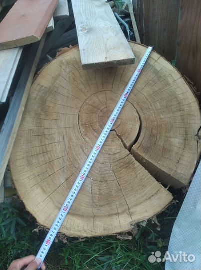 Дубовый пень, спил тополя