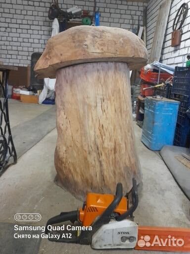 Гриб инсталляция