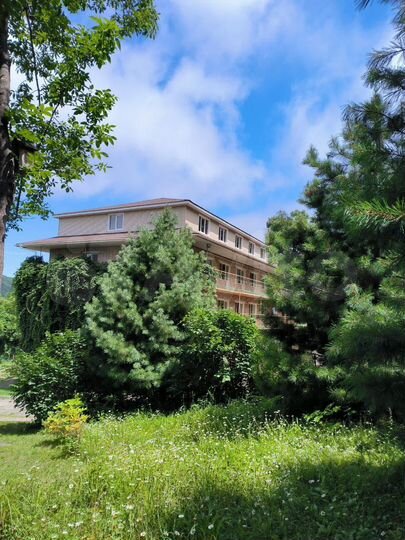 Комната 24 м², 2/3 эт.