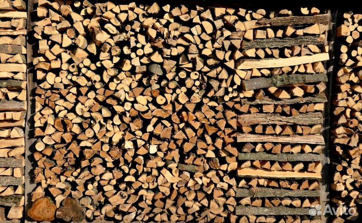 Дрова в область