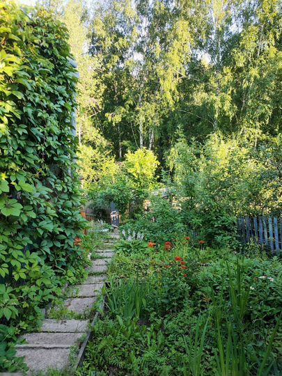 Дача 23 м² на участке 4 сот.