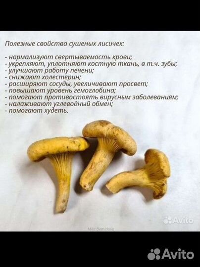 Сушеные грибы лисички