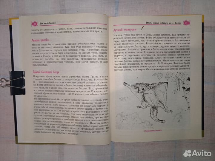 Книга. 1000 тайн животного мира