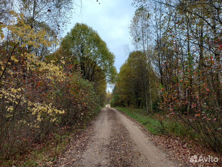 Ретрит-тур выходного дня