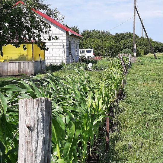 Дом 70 м² на участке 32 сот.