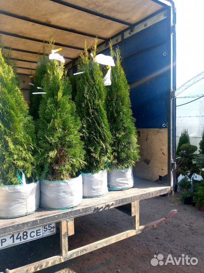 Переезды, грузоперевозки, грузчики, газель