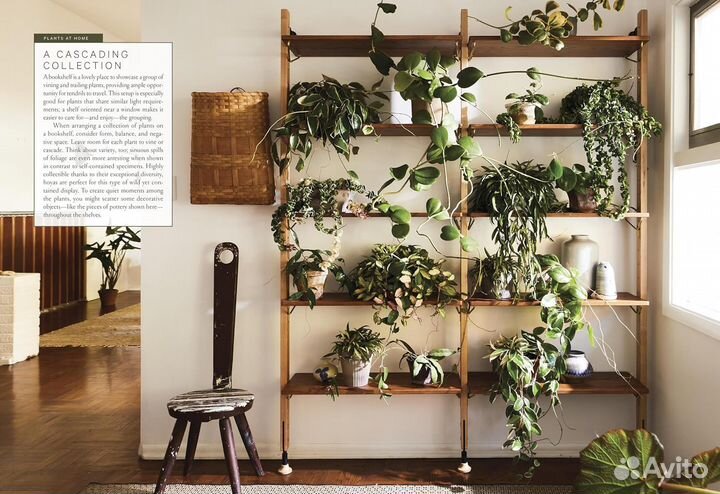 Terrain: The Houseplant Book. Выращивание растений