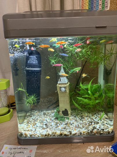 Аквариум 20 литров
