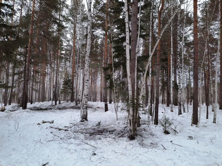 Участок 18 сот. (ИЖС)