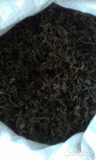 Иван-чай майский