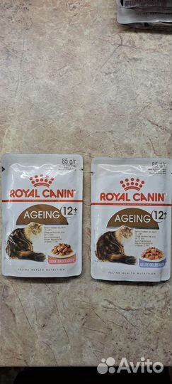 Корм для кошек роял канин влажный