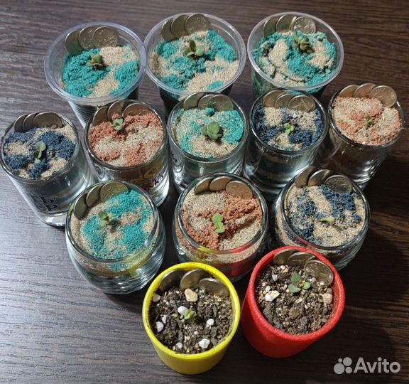 Вырасти свой денежный талисман