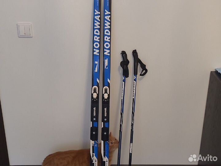 Лыжи беговые детские 150